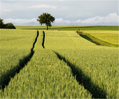 Russia and Belarus in talks to boost potash exports: report