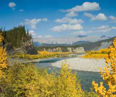 INFOGRAPHIC: a year’s worth of resources in BC