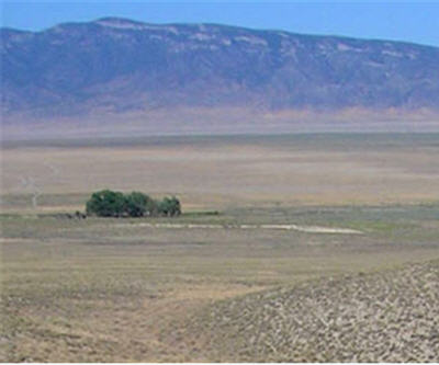 Viking Minerals reports on pre-drilling and geological mapping details of QFP dyke and mineralization at its Nevada gold and copper property