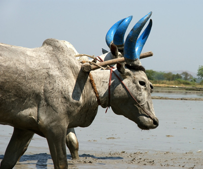 India won’t replace China as top resources consumer