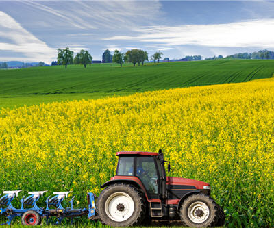 Agrium predicts 30% drop in potash sales