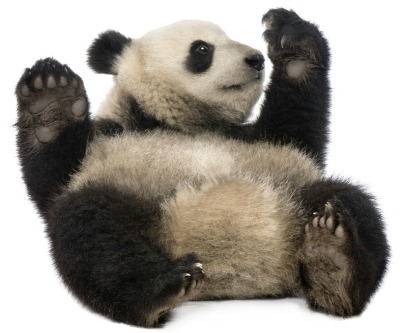 The biggest bear of all? Iron ore price heading for $50-something