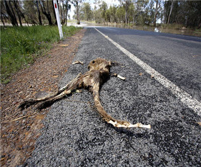 The BHP show obscures Australian mining's deeper problems