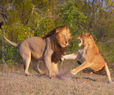 Wage talks in South Africa’s gold sector reach standstill: strike imminent