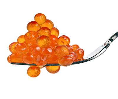 Pebble mine: ‘If God were testing us, he couldn’t have found a more challenging place’