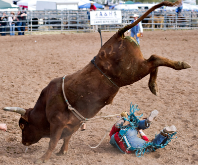 Kinross stock hammered over $720m Ecuador write-off