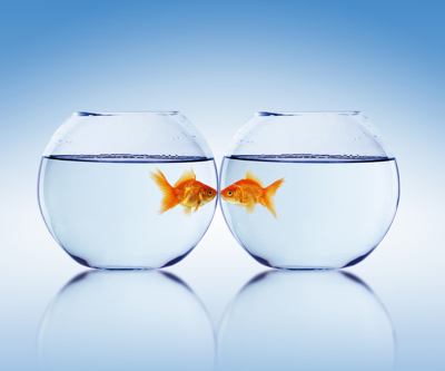 WSJ: Newmont, Barrick merger talks break down