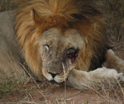 South Africa’s growth hits four-year low due to strikes