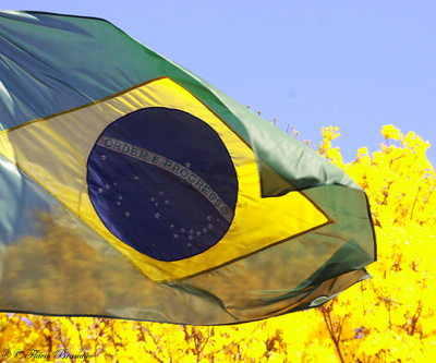 Brazil doubles gold reserve to highest level in 12 years