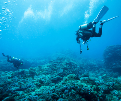 Japan to subsidize underwater rare earth venture