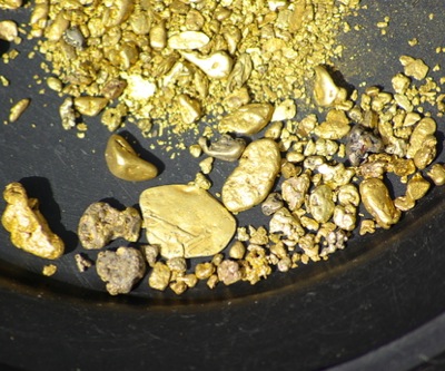 Pfizer lab missing $700K of gold dust