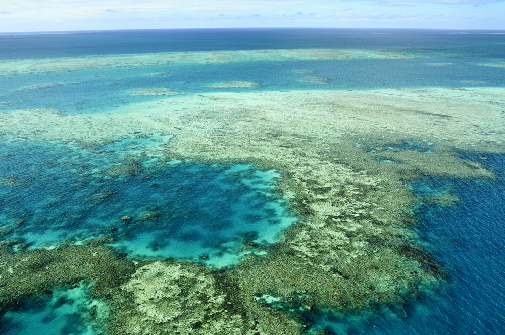 Marine experts demand Australia to stop reef mine, ports plans