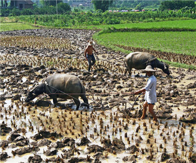 Mosaic surprise, Canpotex China deal brighten 2013 potash prospects