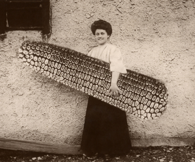 Media hoax wipes $330 million off Whitehaven Coal