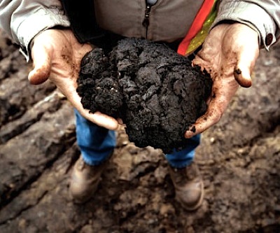oil sands