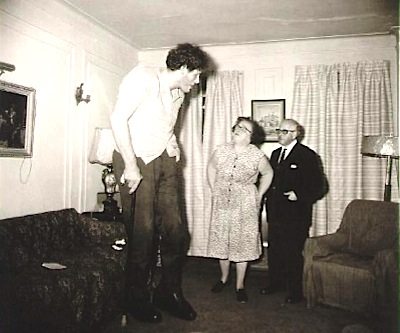 First Quantum takes over Inmet: a new copper giant is born