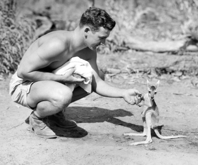 Iron ore price output caps called 'hare brained'