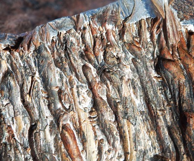 Few can make money from nickel at today's prices