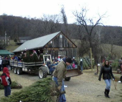Family Christmas-tree farm 0. Gold mine 1