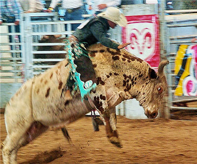 Monster rally for gold stocks