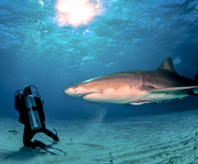 Nautilus Minerals goes hard on PNG gov't over Solwara 1 dispute