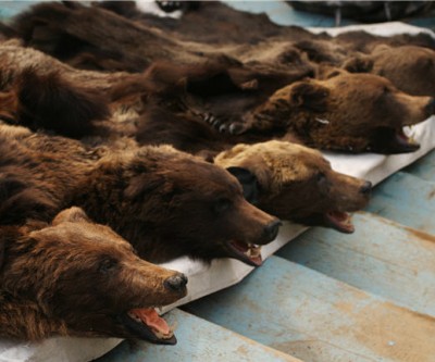 Monday mining massacre as gold, copper, iron ore prices tank