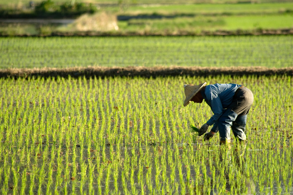 Thai potash mine owner ITD weighing $500 million stake sale