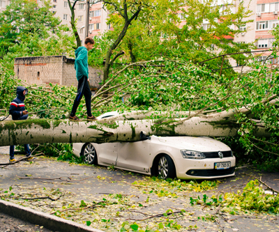 Volkswagen crashes platinum price