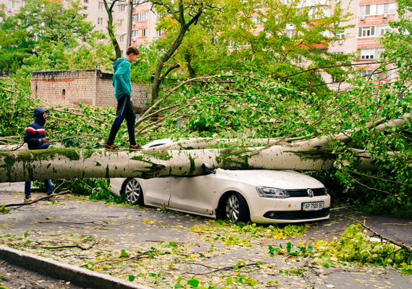 Volkswagen crashes platinum price