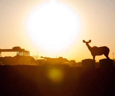 De Beers closing another diamond mine, this time in Botswana