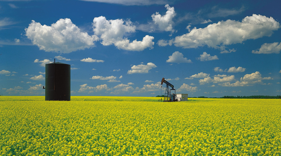 Here’s where mining investors should be placing their bets