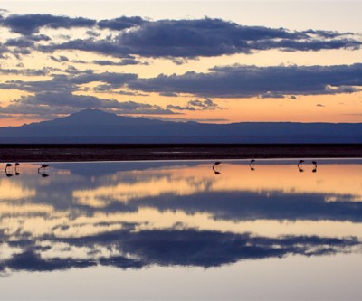 Lithium giant shares fall on disappointing auction