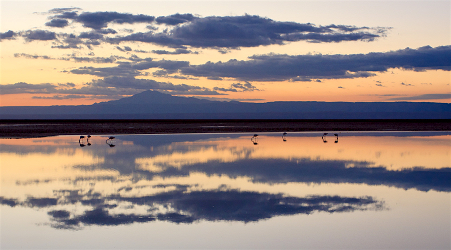 Lithium giant shares fall on disappointing auction