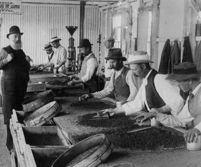 Diamonds add sparkle to Anglo's improving outlook