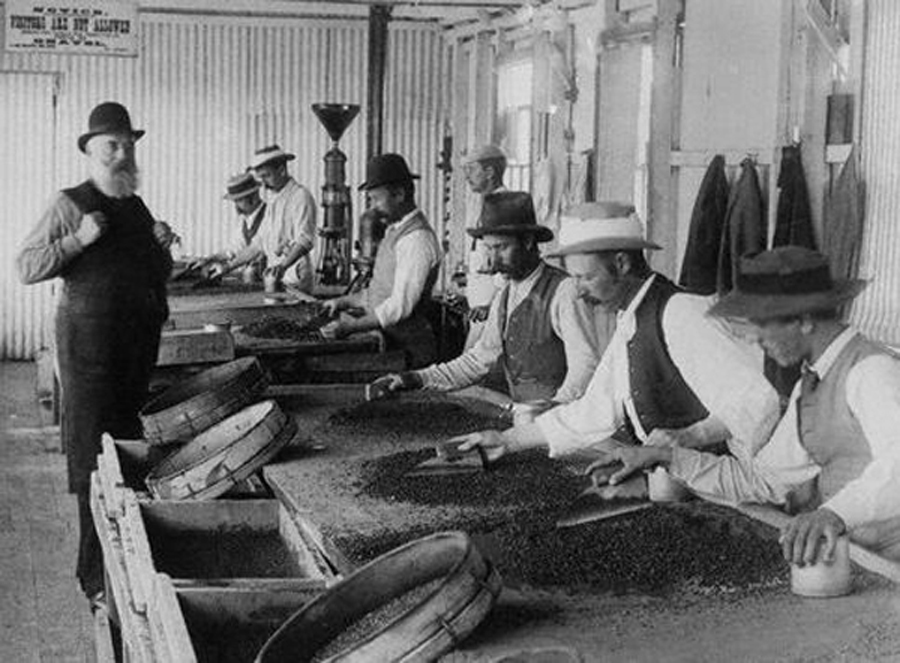 Diamonds add sparkle to Anglo's improving outlook