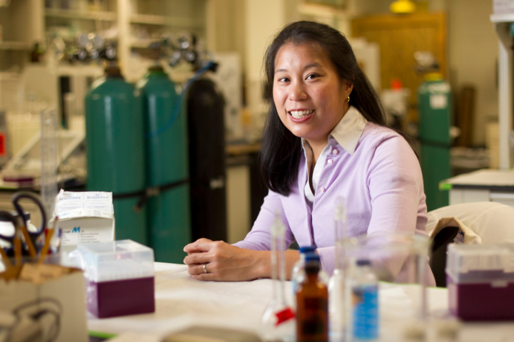 US coal ash highly rich in rare earths, scientists find