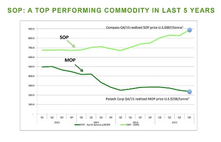 Potash price surge could lead to higher food costs for billions - a top performing commodity in last 5 years graph