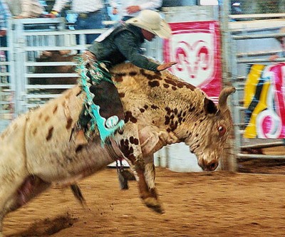 Gold price: Hedge funds caught short by jobs shock