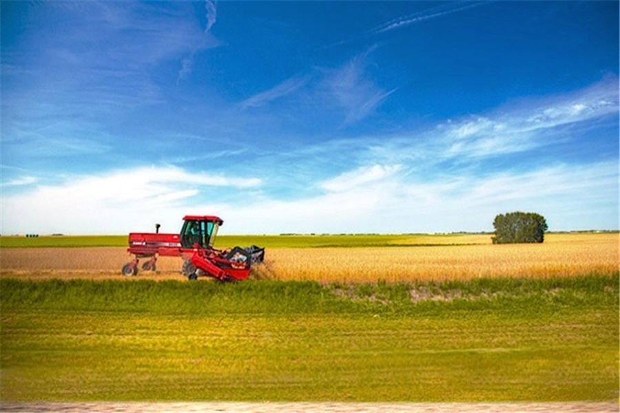 Karnalyte shelves financing talks for new potash mine