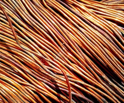 Copper price plung e