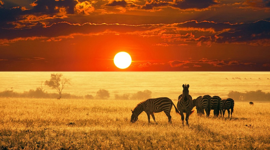 Here is why the mining sector in sub-Saharan Africa is not ready to shine