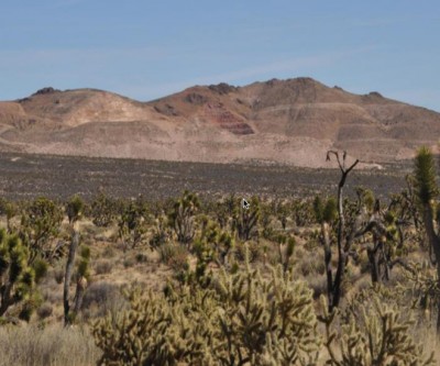 Discovery pushes Newcastle Gold's 2016 gains to 300%