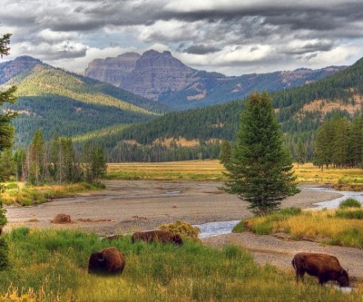 US to ban mining near Yellowstone national park