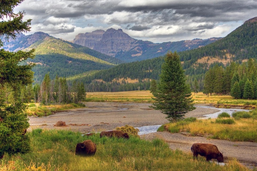 US to ban mining near Yellowstone national park