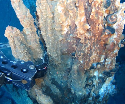 New Zealand deep-sea life needs 'better protection' from mining, study shows