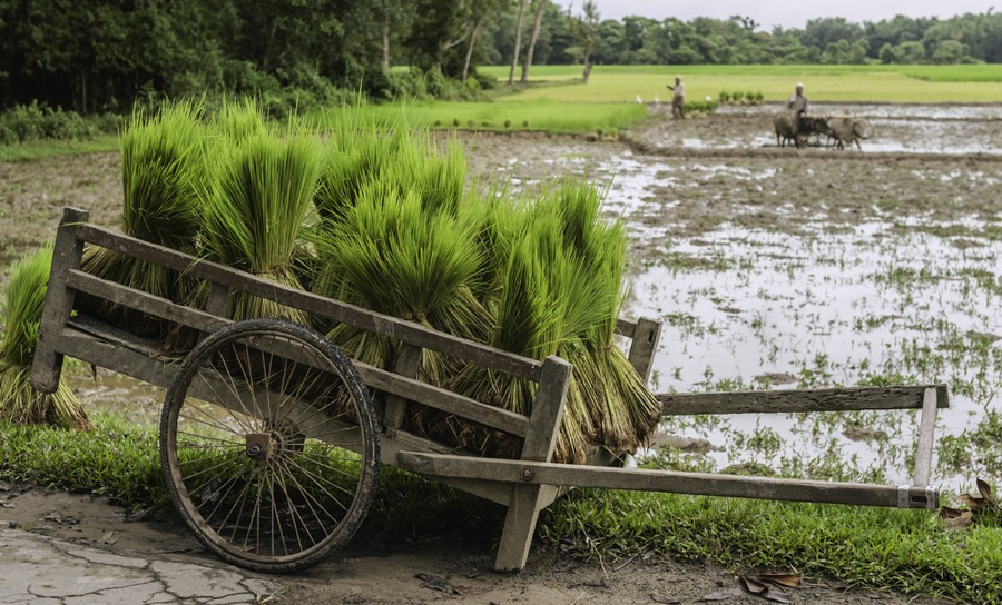 First orders under $455m potash deal for Vancouver junior