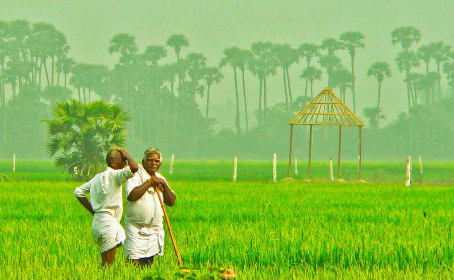 Vancouver junior inks $1 billion a year potash deal