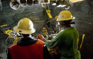 A miraculous covid-19 recovery but Dr Copper needs more tests