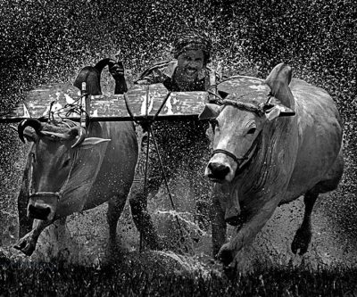 CHARTS: Big mining's surge in value one for the ages