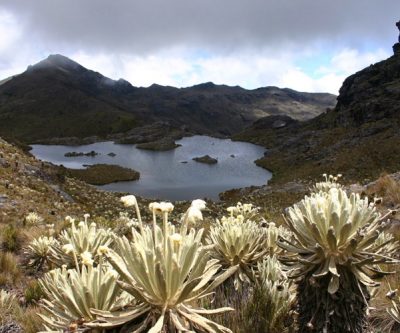 Here’s why Colombia’s mining sector is losing its shine